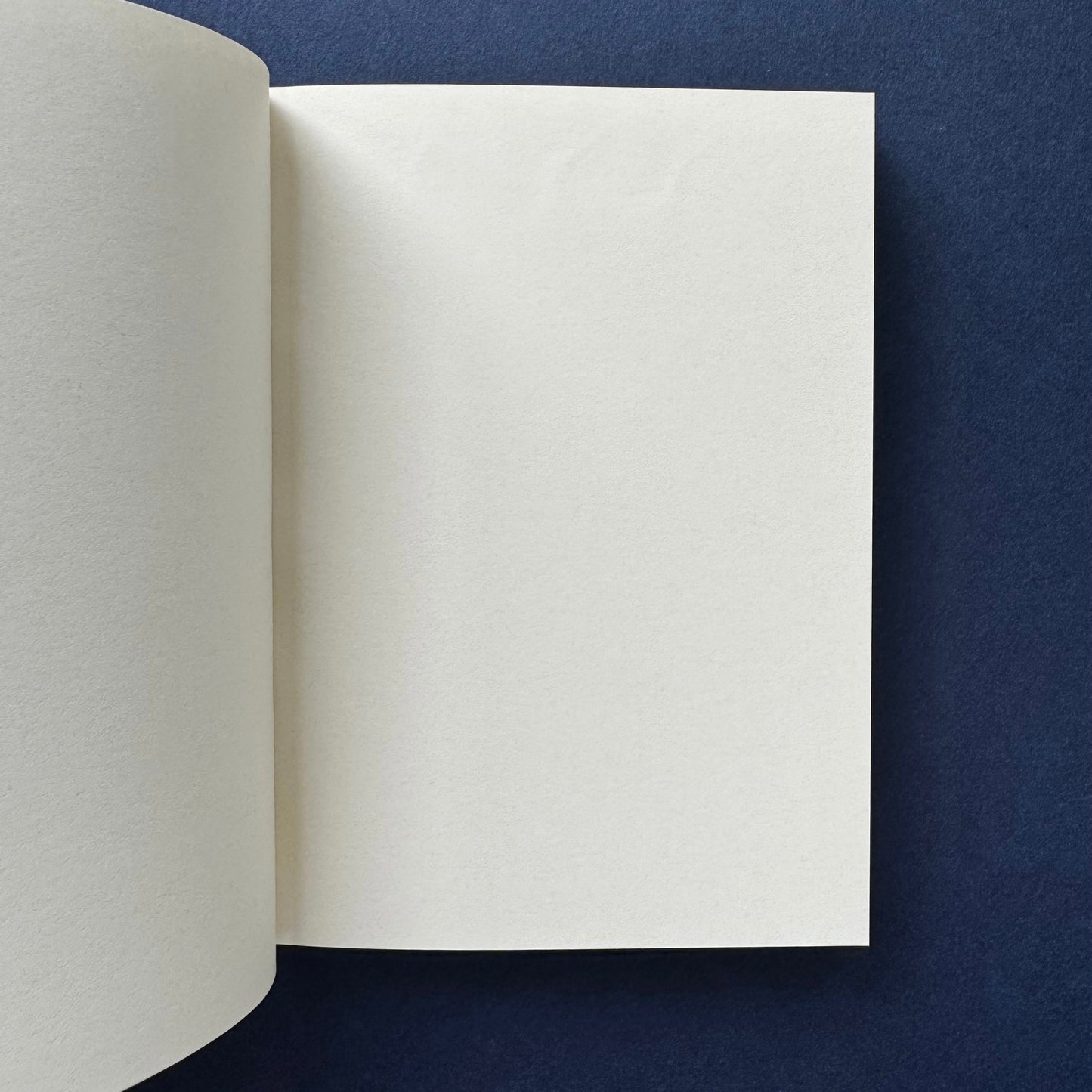 Duo Pocket Book Set | Yellow Lights