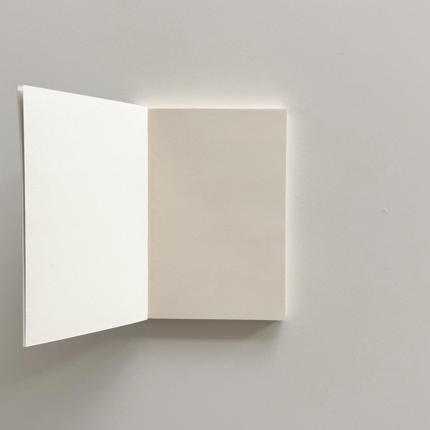 Duo Pocket Book Set | Ribbons